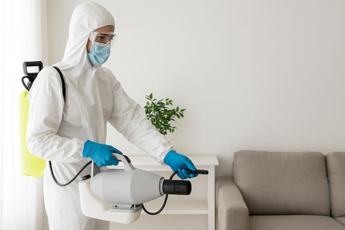 entreprise de désinfection paris